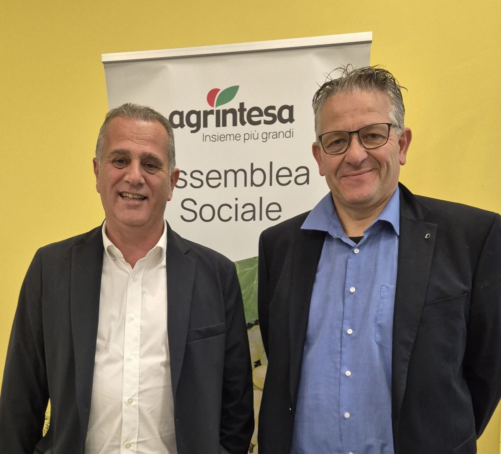 Agrintesa: valore della produzione a 445 milioni
