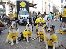 Arcaplanet, nel 2019 donate oltre 194 tonnellate di cibo per animali in difficoltà in tutt’Italia