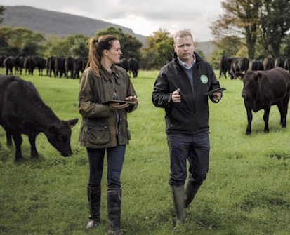 Bord Bia. Il gusto unico della natura: bestiame irlandese dalla dieta sana per una carne dal sapore naturale e autentico