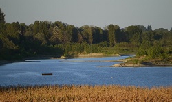 Una fetta di culatello per un sacco di plastica