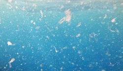 Metodo innovativo per identificare le microplastiche in mare