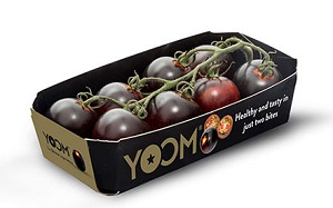 Il pomodoro viola Yoom premiato a Fruit Logistica