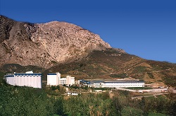 De Cecco e la sua filiera