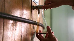 Ponti e la sua filiera