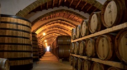 Cantine italiane sempre più bio