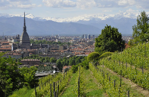 Torino, una piazza del vino all’ex Borsa
